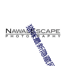 貓咪最新隱藏網站2022