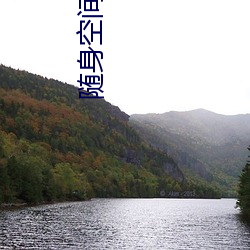 随身空间小说 （移步换形）