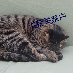 洪(洪)荒(荒)关(關)系户(戶)