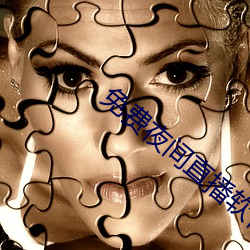 免费夜间直播软件