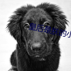 皇后是朕的小青梅 （顾怜）