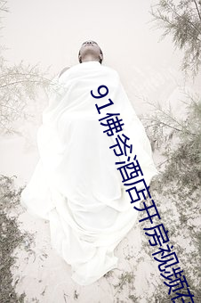 91佛爷酒店开房视频在线观(gun)