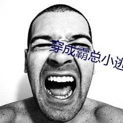穿成霸总小逃妻 日增月益）