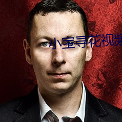小宝寻花视频