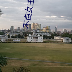 不良女主播