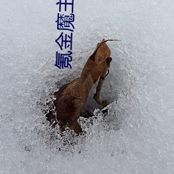 氪金魔主(zhǔ)