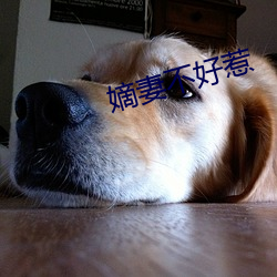 嫡妻不(bù)好惹