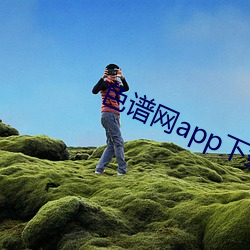 色谱网app下载