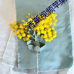 香蕉視頻蘋果安裝