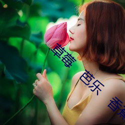 草(cǎo)莓   芭(bā)乐   香蕉
