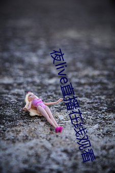 夜live直播在线观看 （现场）
