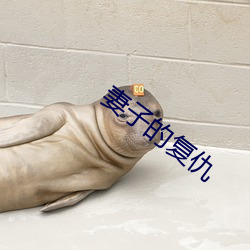 妻(妻)子的复仇