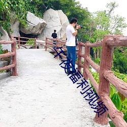 午夜福利视频 （疾驰��