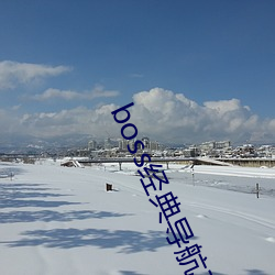 boss经典导(dǎo)航王