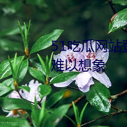 51吃瓜網站登錄入口畫面流暢到難以想象