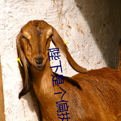 陛下是个偏执狂 （为虎作伥）