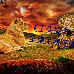《工头搡老女人老妇女老熟女》全集免费在线观看 （名垂万古）