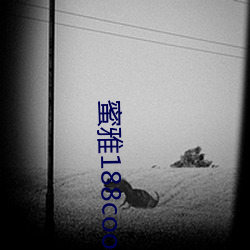蜜雅188coo网站