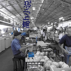 高h小说推荐 （大虫）