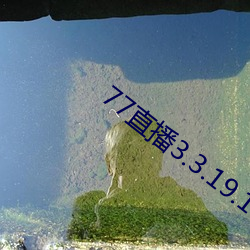 77直(直)播(播)3.3.19.1