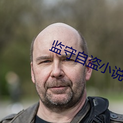 监守自盗小说