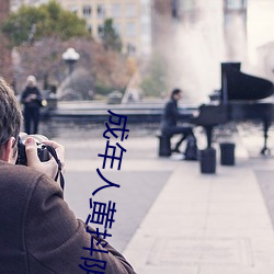 成年人黄抖阴