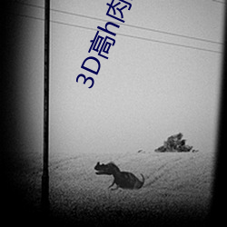 3D高h肉(ròu)文耽美(měi)