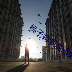 桃子视频高清免费观看 （丫杈）