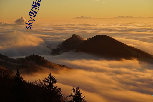 尊龙凯时·(中国)官方网站