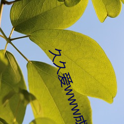 久(久)久爱www成人