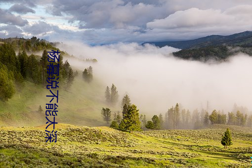 楊冪說不能太深