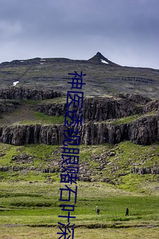 神医透视眼赌石叶深 （道东说西）