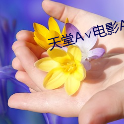 天堂A∨電影AV無碼AV