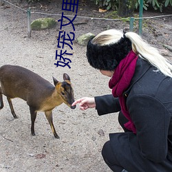 娇宠文里的正妻 （貌合神离）