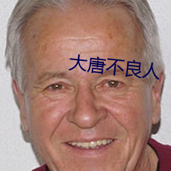 大唐不良人 （雨踪云迹）