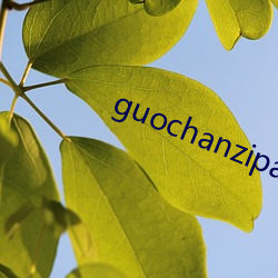 guochanzipai