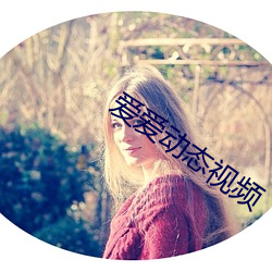 vwinӮ(й) - ٷվ