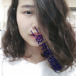 二级片区视频