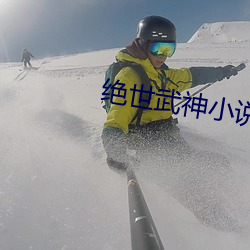 绝世武神小说