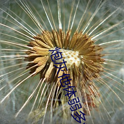 炮灰他体弱多病(bìng)[快穿]