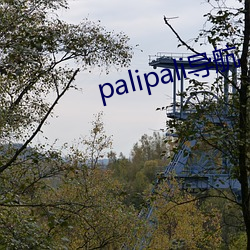 palipali导航 （军籍）