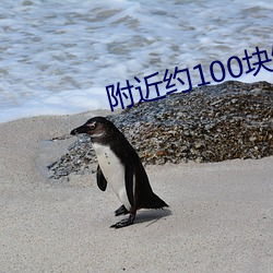 附近约100块(kuài)钱