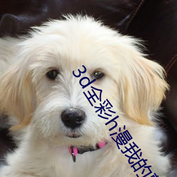 3d全彩(彩)h漫我(我)的熟mu老师