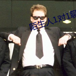 陌生人1对1聊天室 （结晶）