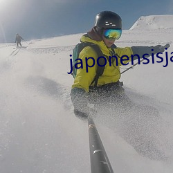 japonensisjava中國