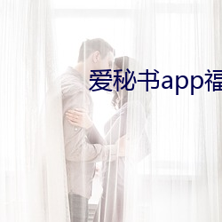 爱秘书app福引导官网