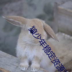 狼少(少)年(年)稳定(定)资源站