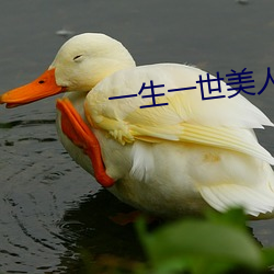 一生(shēng)一世(sh¨¬)美人(r¨¦n)骨txt