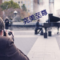 完美至(zhì)尊