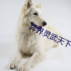 異界靈武天下